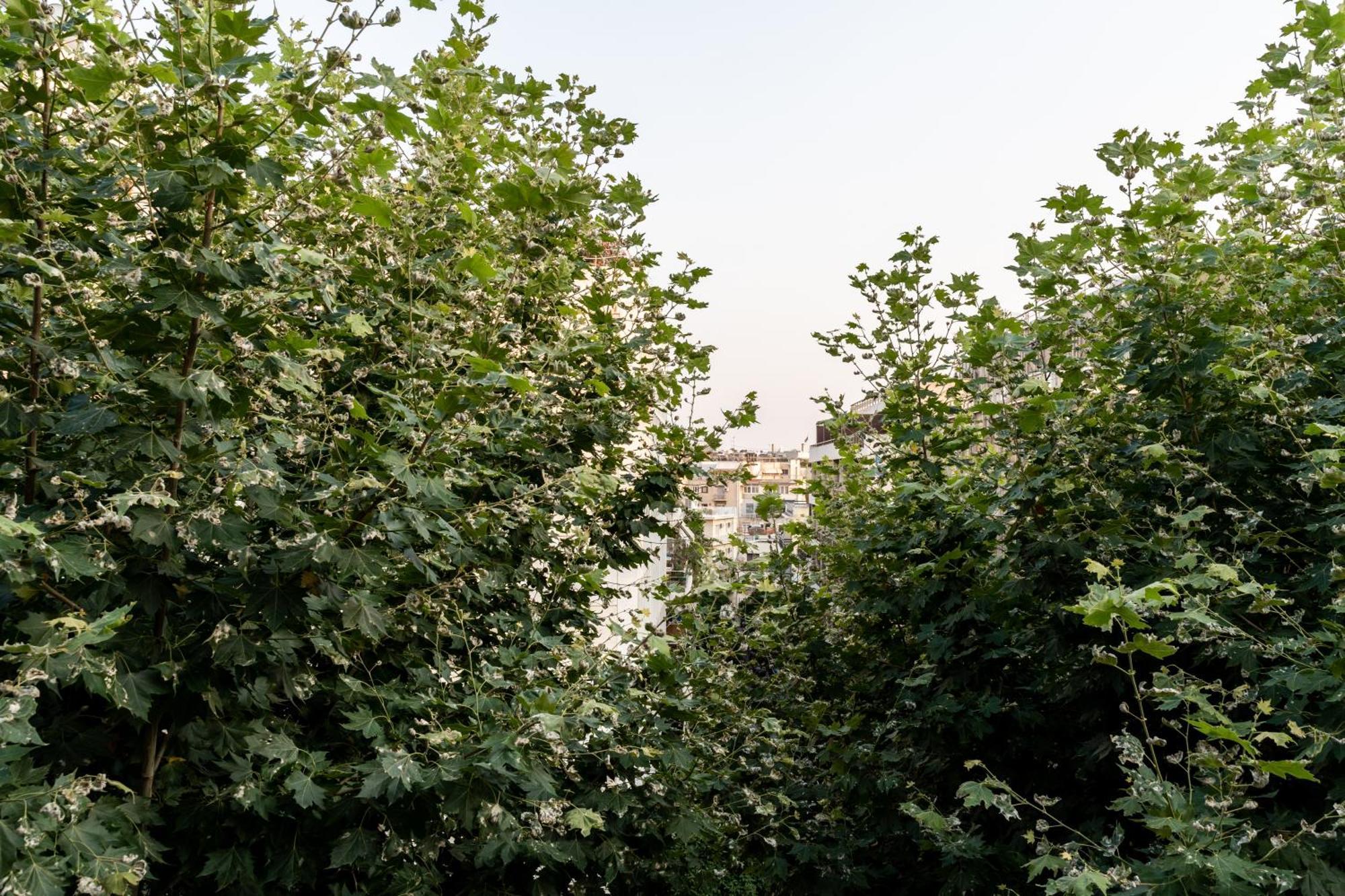Frinichou 18 By Athens Concept Residences Bagian luar foto